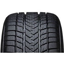 GRIPMAX 215/35R19 85V XL PRO WINTER