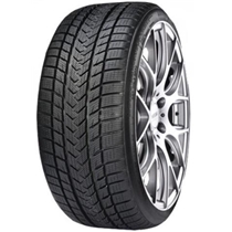 Gripmax 255/35R18 XL 94V SUREGRIP PRO W